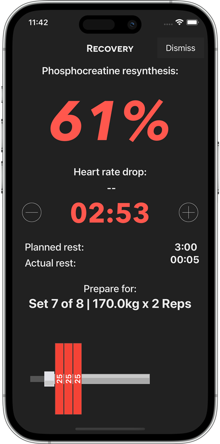 Sheiko Gold rest timer showing 61% phosphocreatine resynthesis and a live countdown before the next set